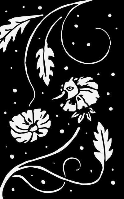 Studio Prints