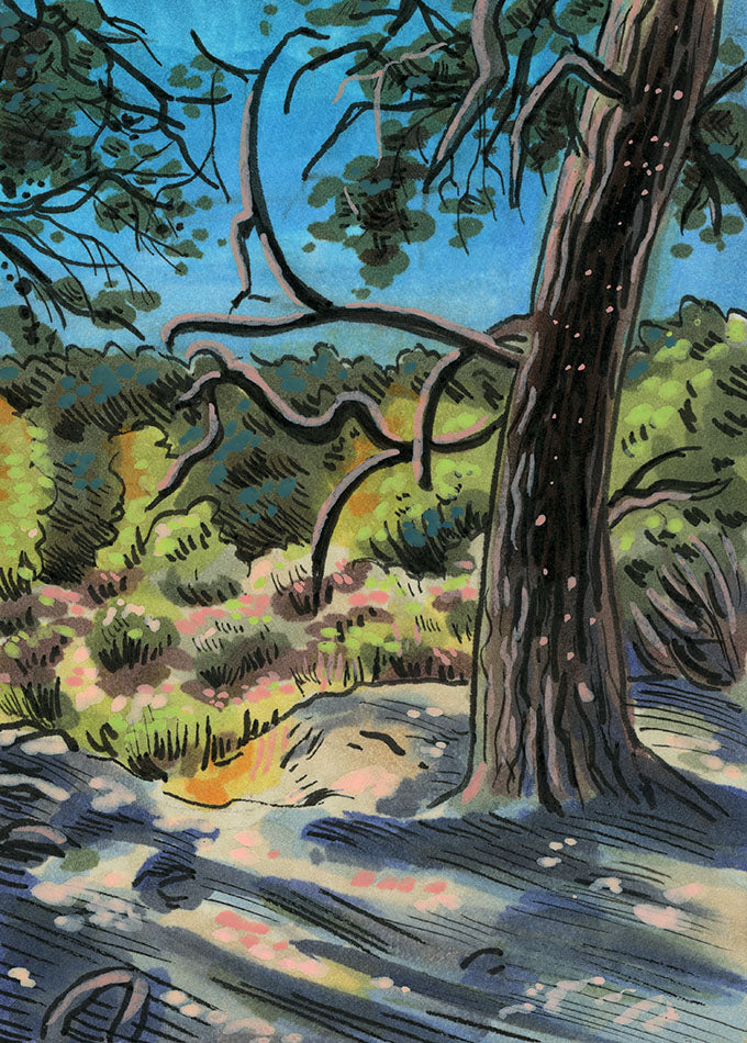 Dry Countryside